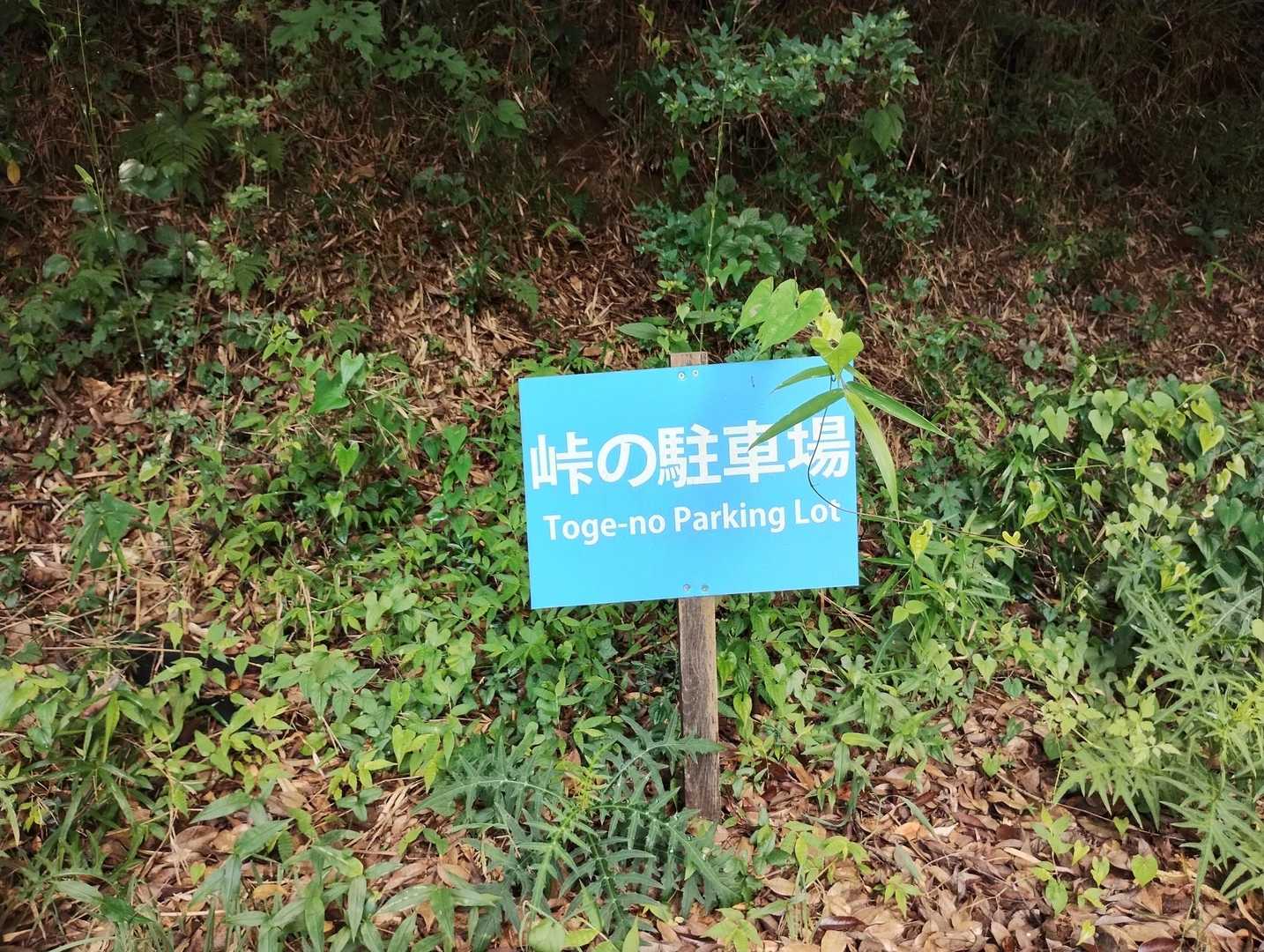 日金山（十国峠）へ向かいます
峠の駐車場からスタート
ここから徒歩10分で山頂へ行けるはず！
