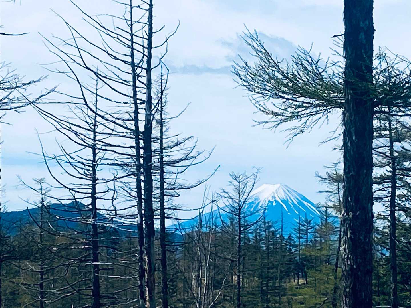 富士山クッキリ