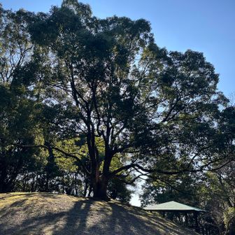 月見山って形から来てるのかな🤔