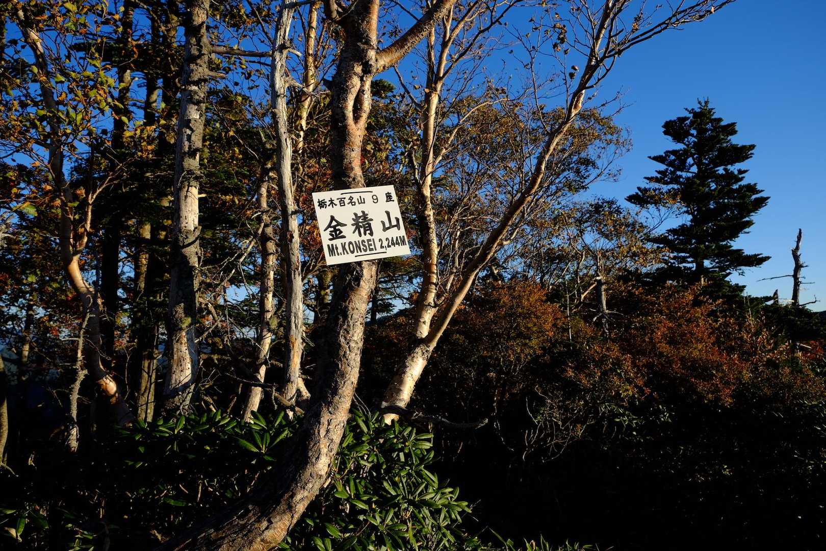 金精山に到着。ここは景色良いです
