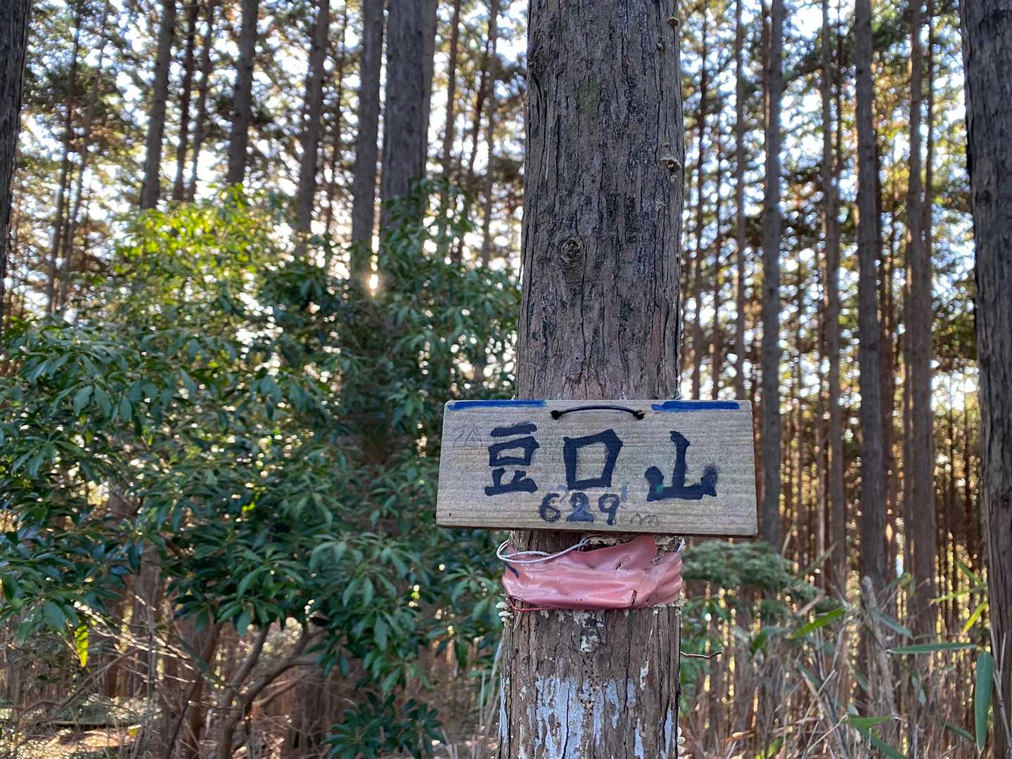 豆口山の写真