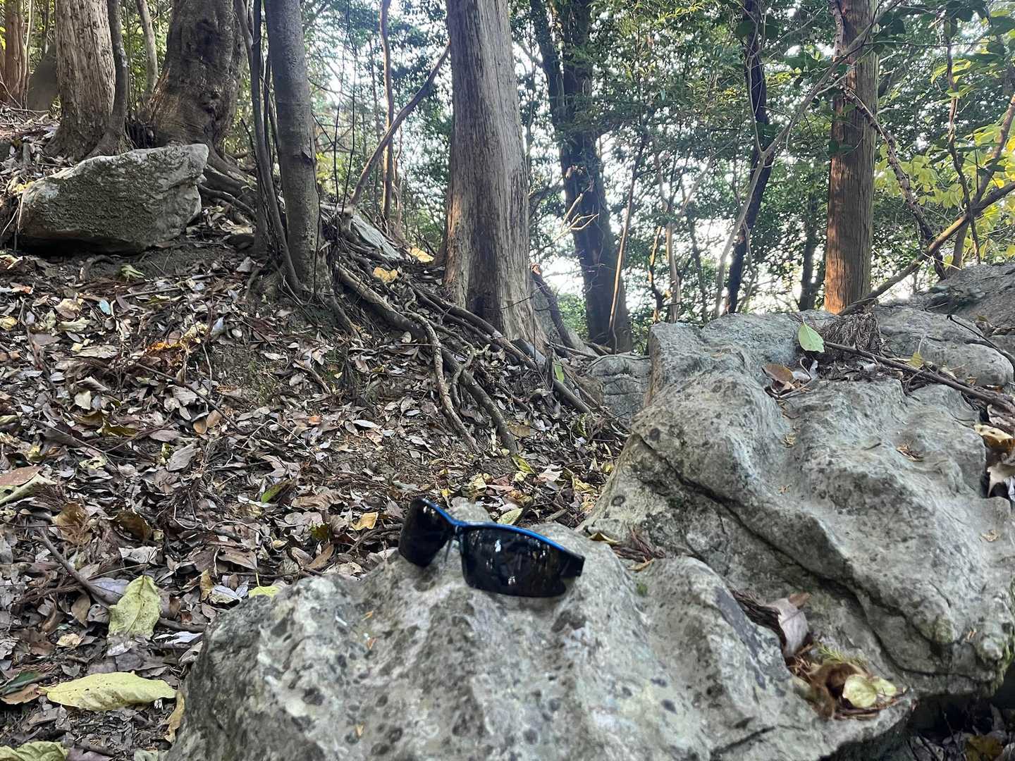 竜峰山から鞍ヶ峰に行く途中におサングラス🕶️の忘れもの
落とされた方へ
預かっていますからメッセージくださいね