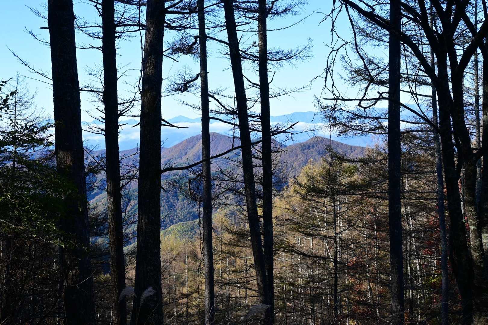 琴川ダム-小楢山 往復コースの写真