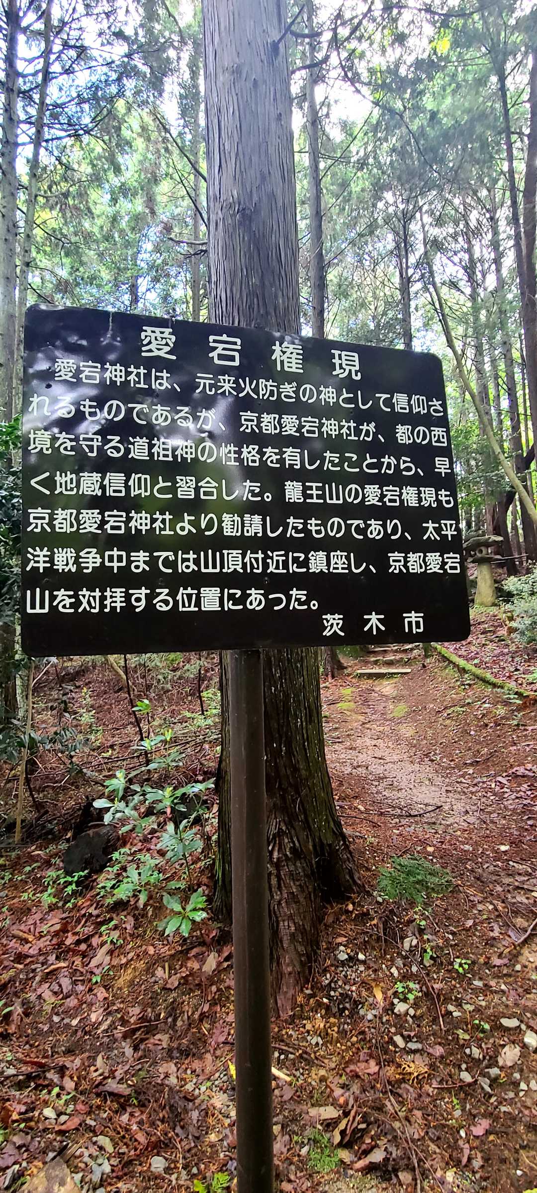 京都の愛宕山と関係あるらしい。