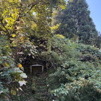 無事に帰ってきました