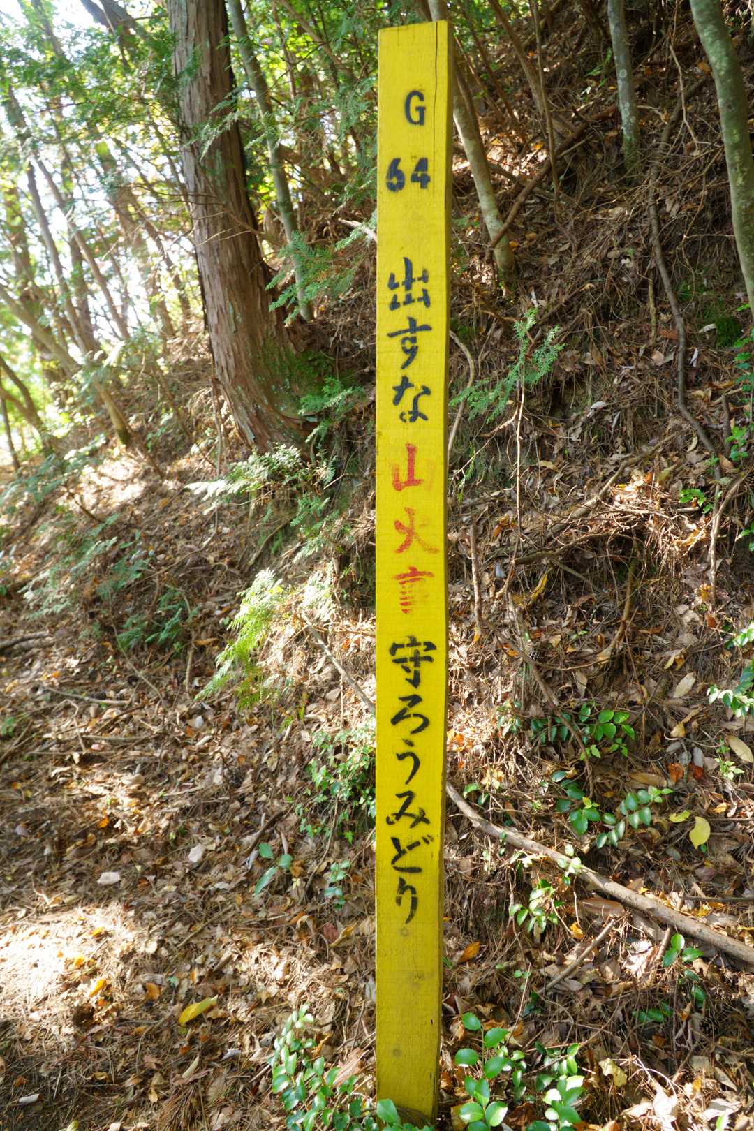 先程の答えがありました👍
出すな　山火事　守ろうみどりでした😊
赤色は太陽光(紫外線)に弱いので消えやすいんですよね😊
なので、長く車に乗ろうと思う人は絶対赤色の車買わないと車好きが言ってました🚗❎
今は紫外線対策されてるので昔よりは耐久性向上してるようですが、やはり青色系の色に比べたら弱いようですね😅ちょっと脱線😅