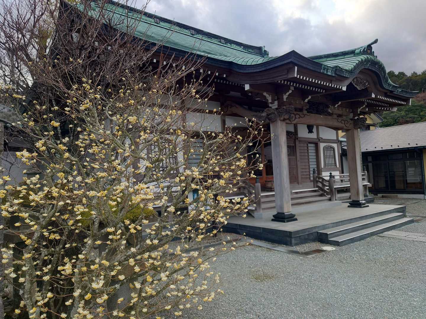 HAKONATURE わくわくコース（小涌谷周辺）の写真