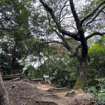 猿山山頂