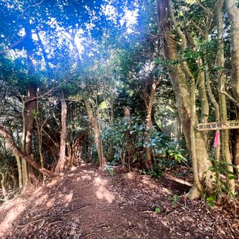 第3展望台分岐。