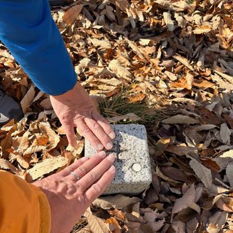 三角点ゲットだぜ