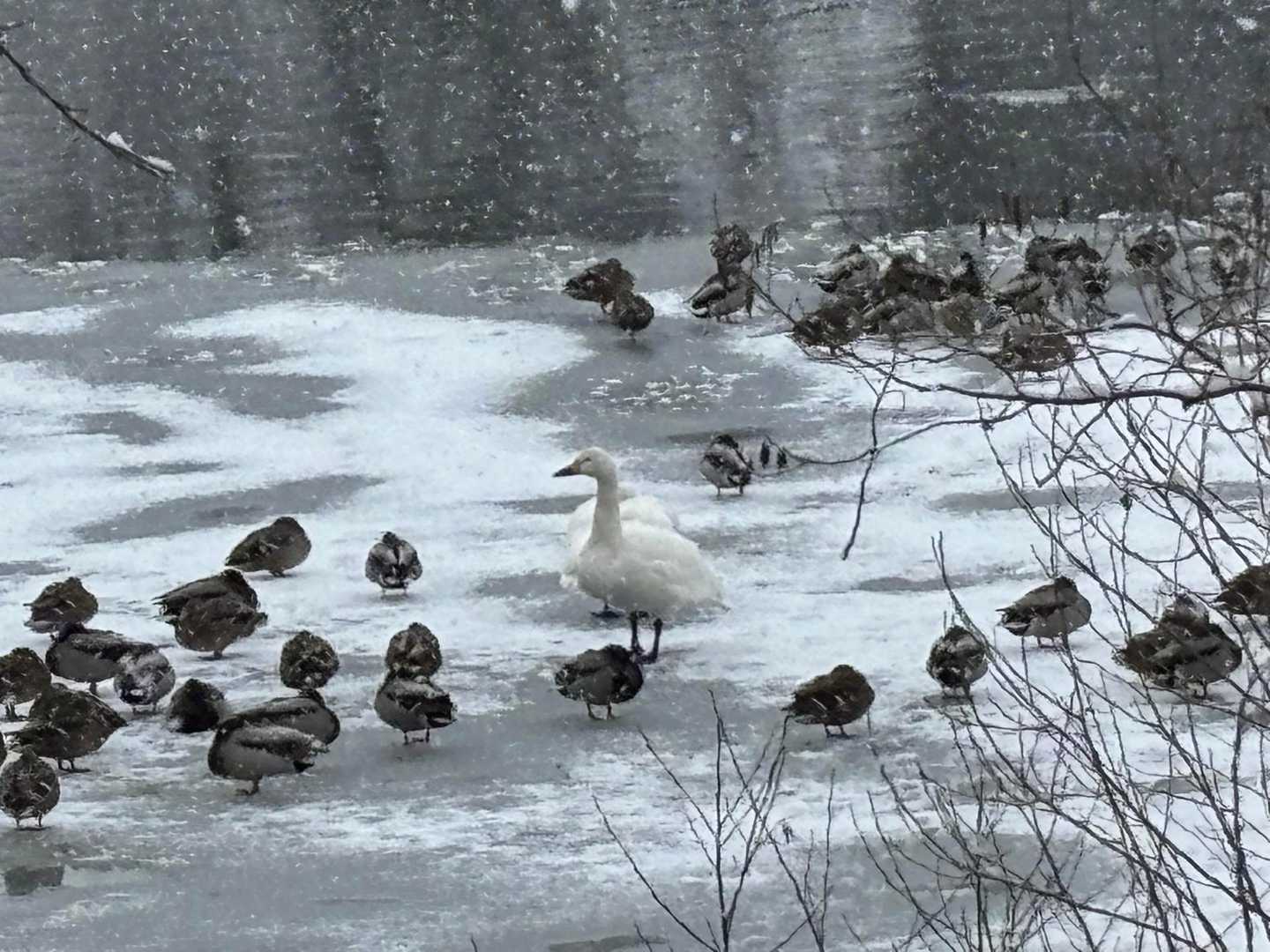 かわええなぁ🩷