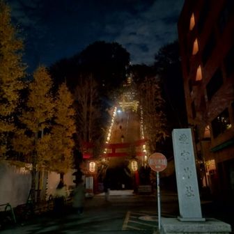 愛宕神社⛩️の階段