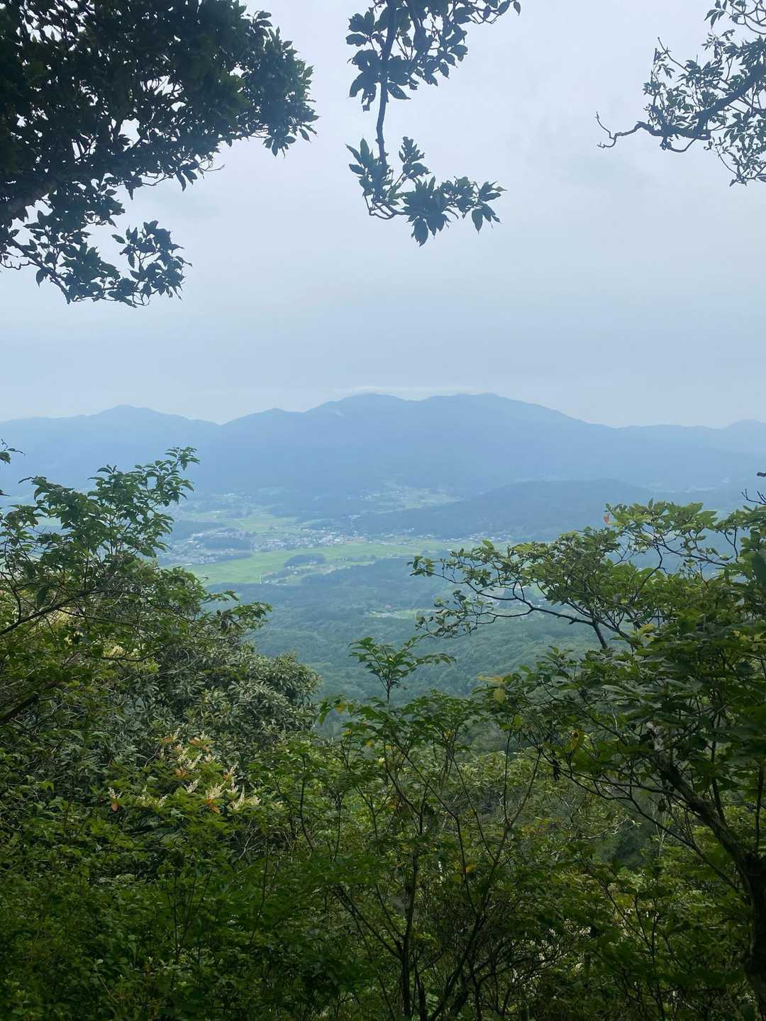 あたご天狗の森登山口-南山-団子石峠-大福山-難台山 往復コースの写真