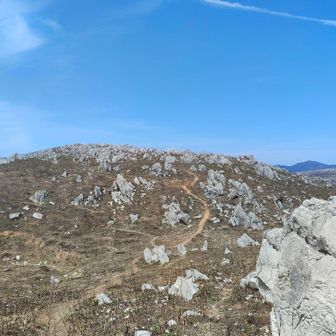次は剣山へ
前回来た時は薮🌾で覆われ苦労したが 今日は快適そのもの😆