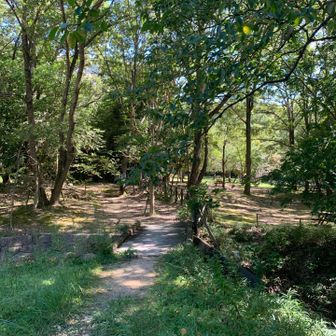 公園を抜けて登山口へ
歩きやすいスタート▶️