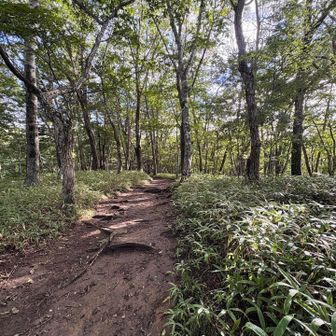 この時はまだ下山の苦しみを知らずにお気楽♪
