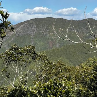 こちらの岩場からは
山の神、虎ケ岳の尾根