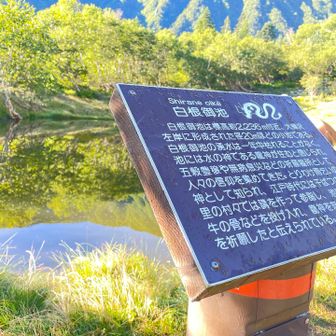 草すべり、無事に通過