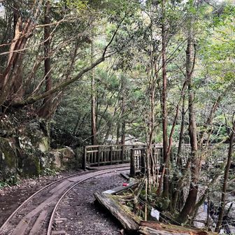 橋の欄干の左に水場