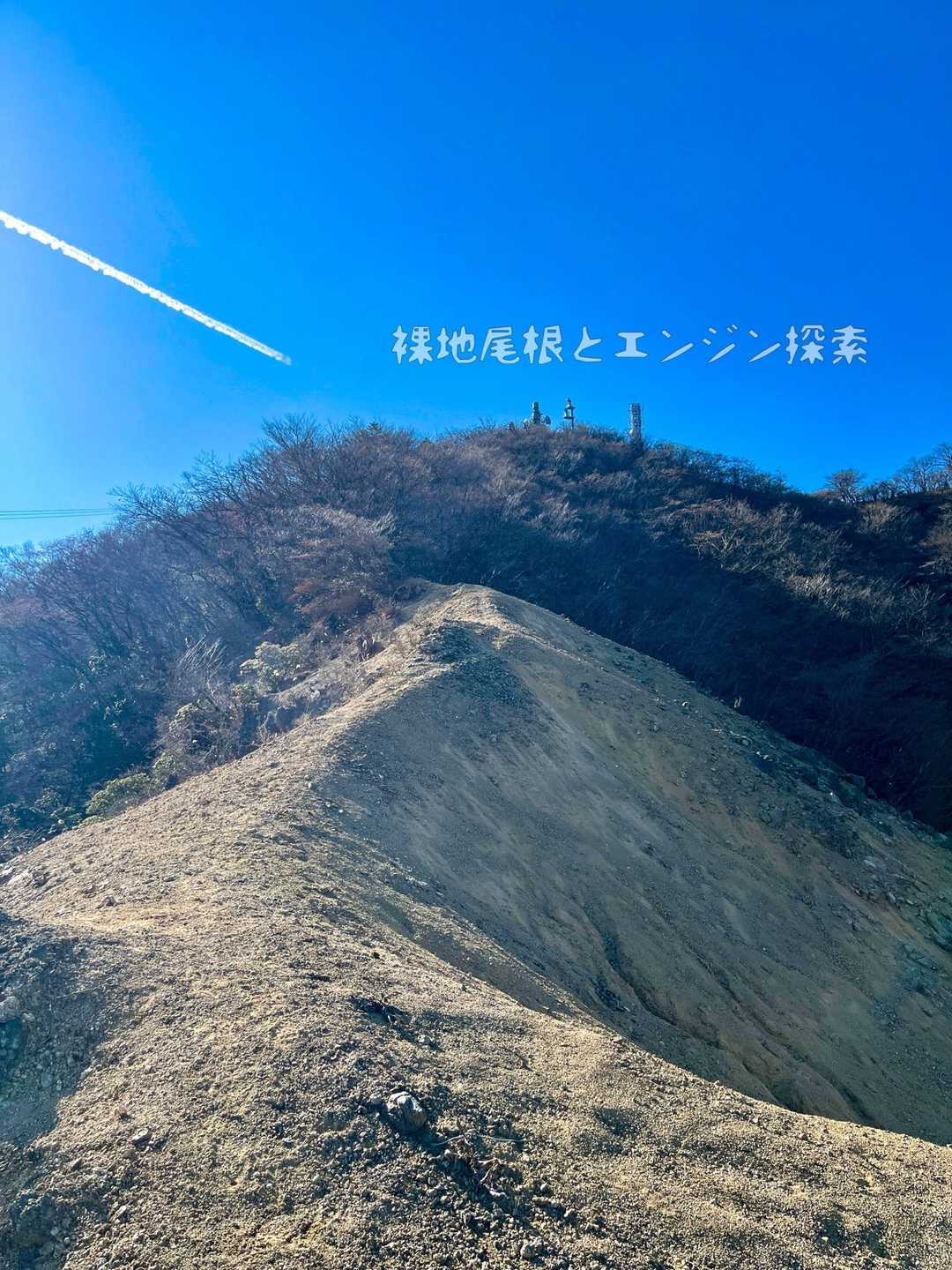 裸地尾根とエンジン探索 / せんちょうさんの大山の活動データ | YAMAP / ヤマップ