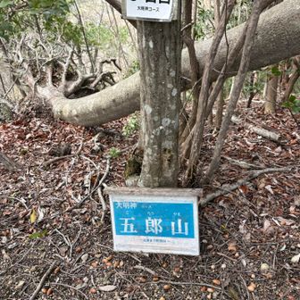 ここが分岐と気づかず、固定ロープに導かれ、大明神コースをくだる、途中で引き返すが急登過ぎる😨