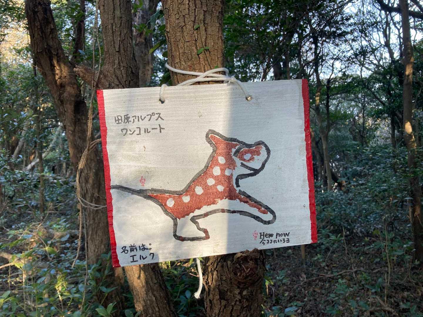 ワンコルート🎶👌