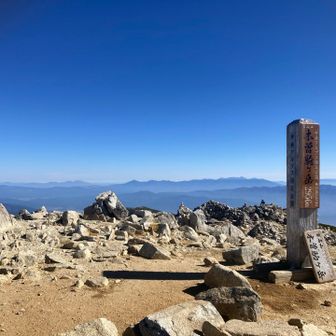 これ写真撮るの行列。