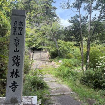ここから観音山へ
