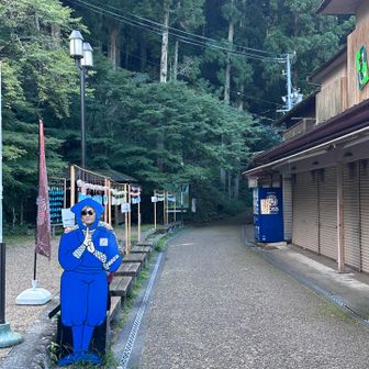 ハメがち笑