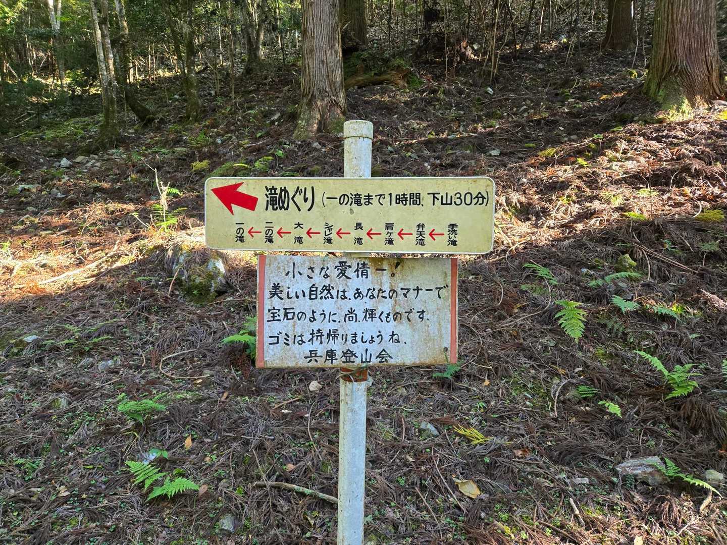 八ヶ尾山-八ヶ尾山登山口 周回コースの写真