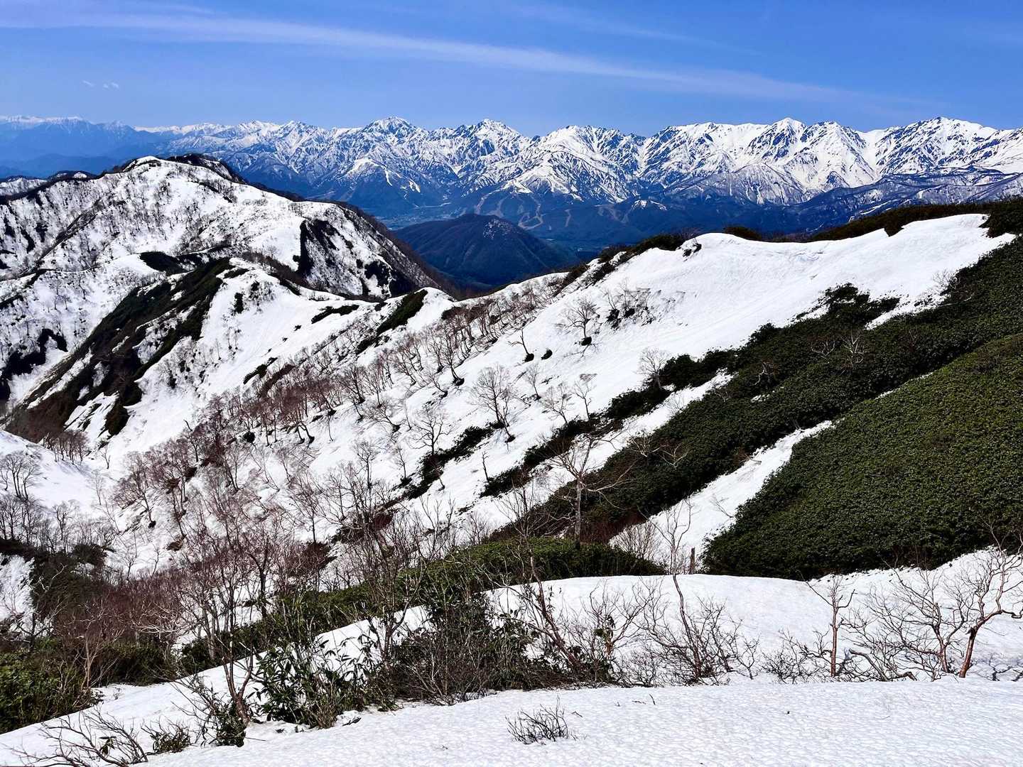 奥裾花自然園入口-今池湿原入口・中西山登山口-中西山-東山 往復コースの写真