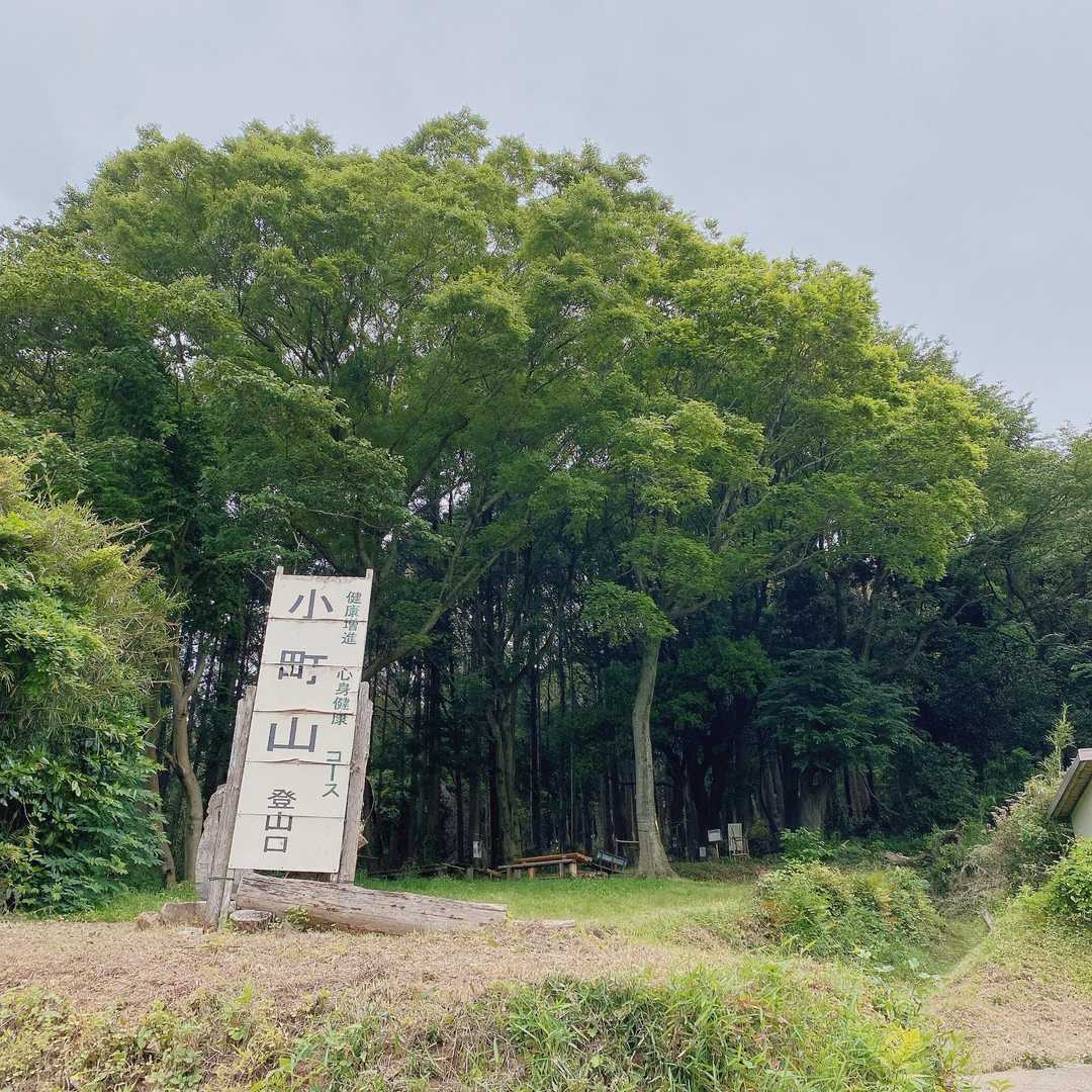 緑がこゆい🌿🌳