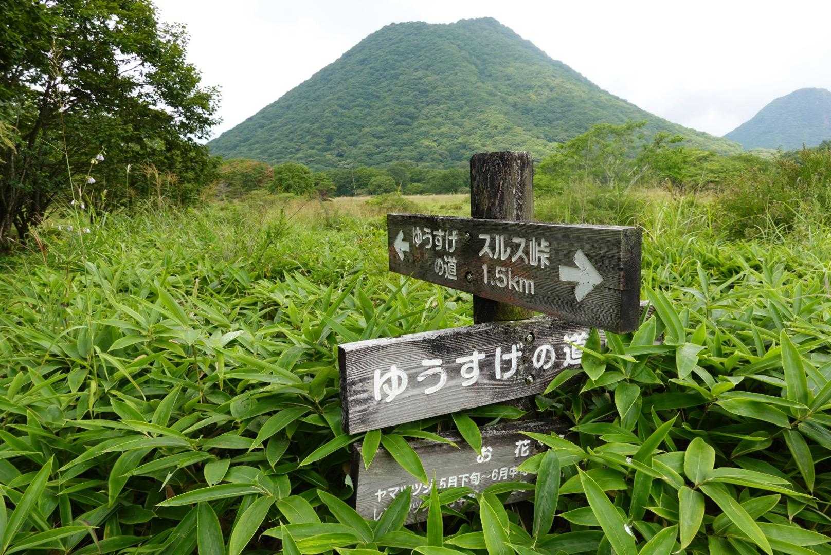 磨墨峠-相馬山 往復コースの写真
