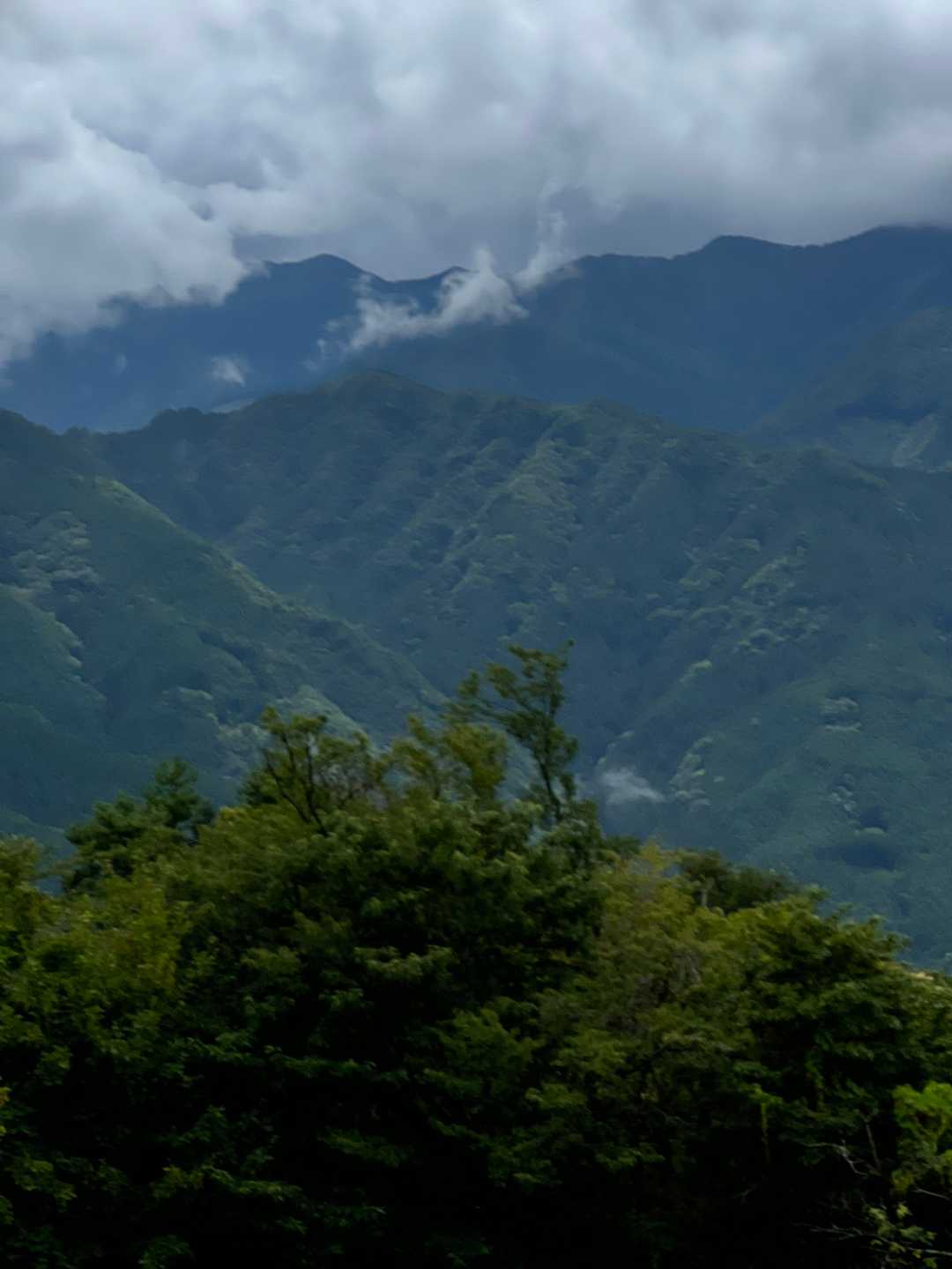 翠波高原-翠波峰 周回コースの写真