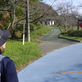 大平山に登ります。
