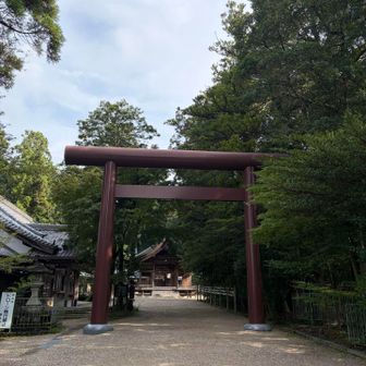 立派な鳥居⛩️