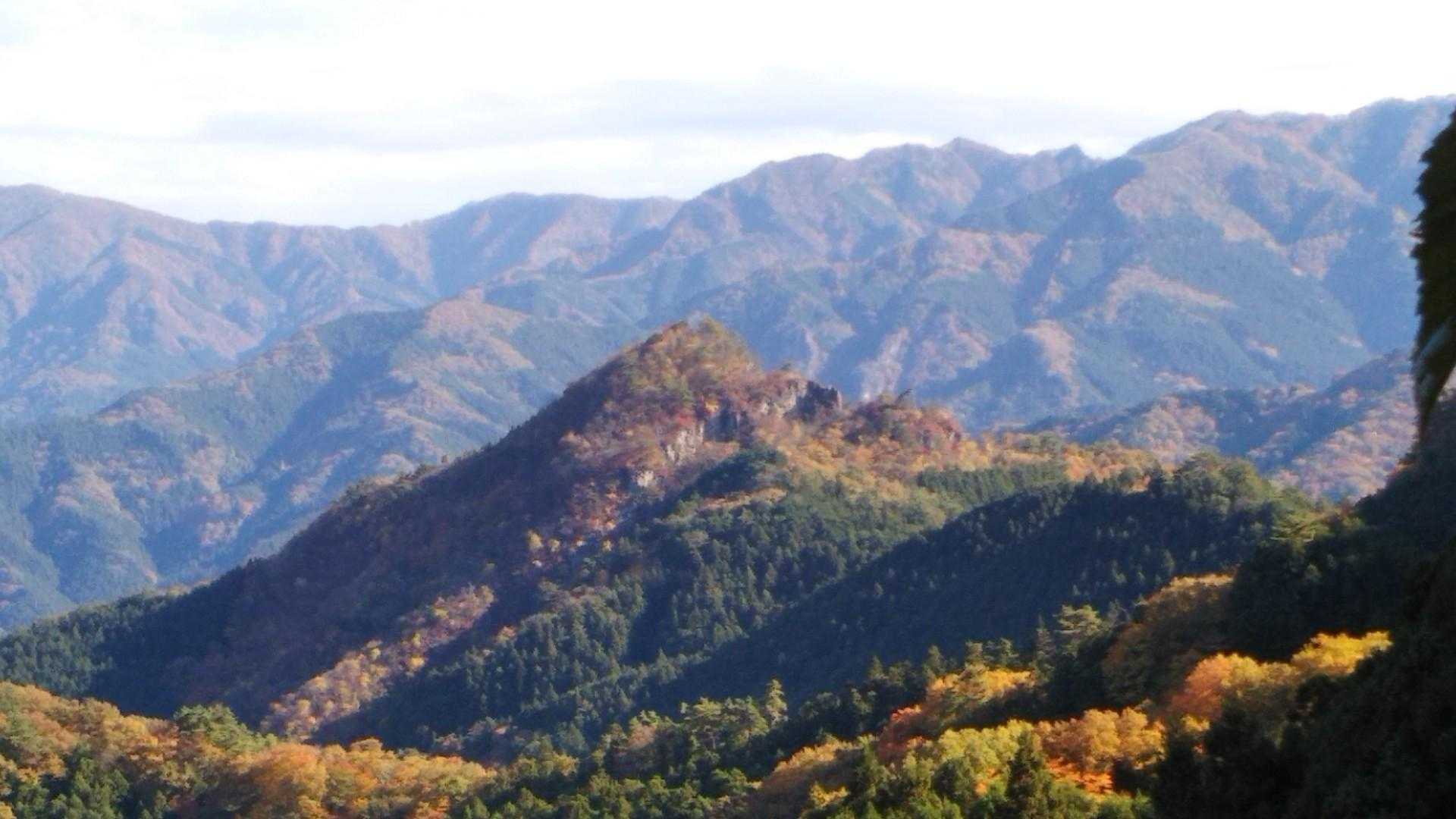 良き彩り。午後の日差しがまた良き。
