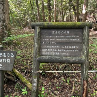 標高が半分という事で半分登ったことではない。すれ違った人とも話しましたが皆勘違いすると思います😅