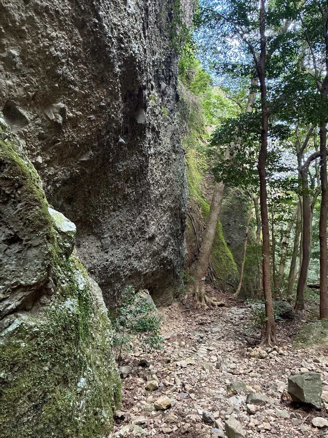 見返り峠-黒髪山 往復コースの写真