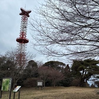 権現山⛰️もどんより☁️