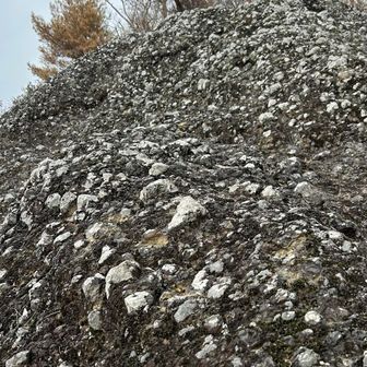 山頂手前のゴツゴツした変わった岩🪨
登るのけっこう怖い😨