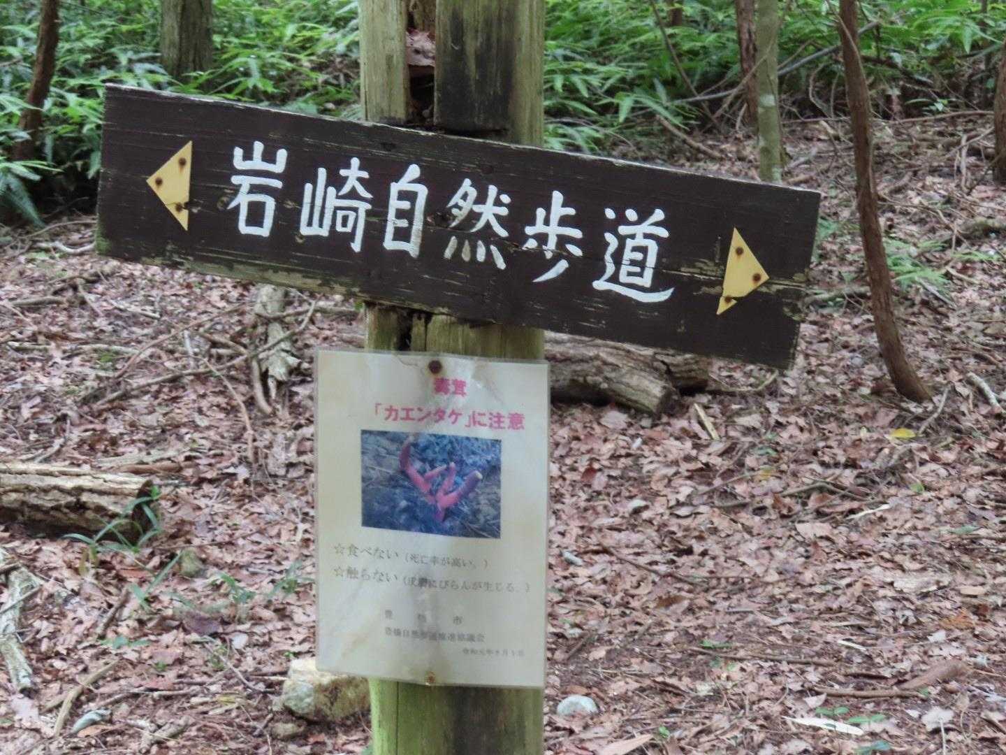 葦毛（いもう）湿原往復｜東海のミニ尾瀬は植生物の楽園の写真