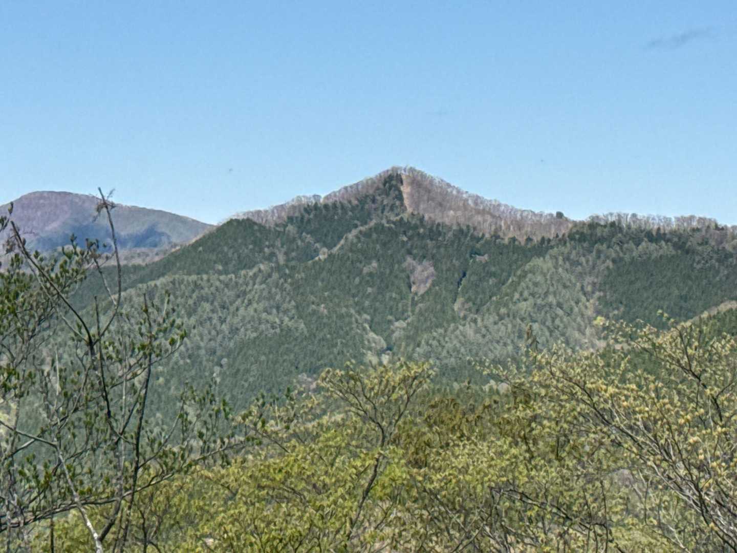 蕎麦粒山👀