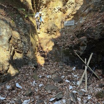 安全を確認できたので、カミさんも行ってました⛩️