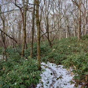 それなら西から行きます😊