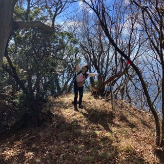 三尖山⛰️ ◯んたいこさん　初登頂😄
おめでとう🎉ございます　🙌🙌