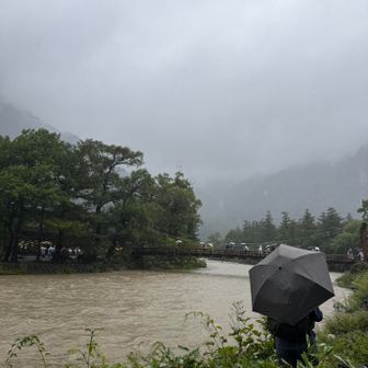 あの河童橋がこんなんなってる