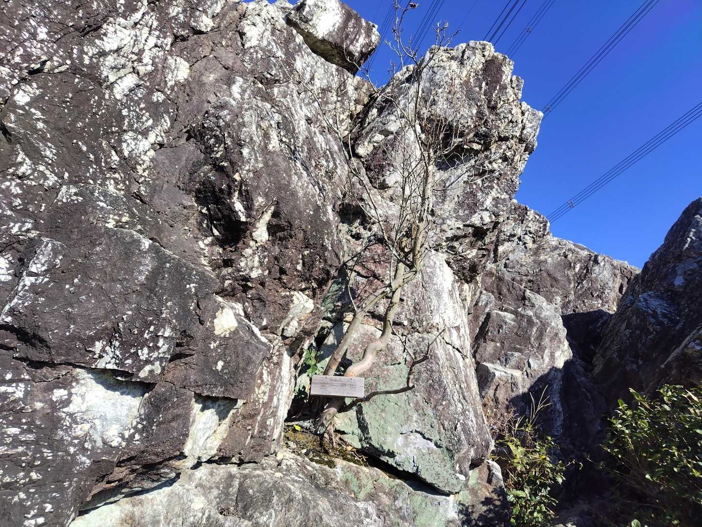 富士見岩 到着
風もなく沢山の人で賑わってました