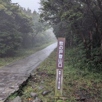 牧ノ戸登山口から登りました
３年前は下界はまあまあの天気でしたが、頂上は雲に覆われていて、天空の城のようでした　また今回も眺望は期待できないかな…と思っていました