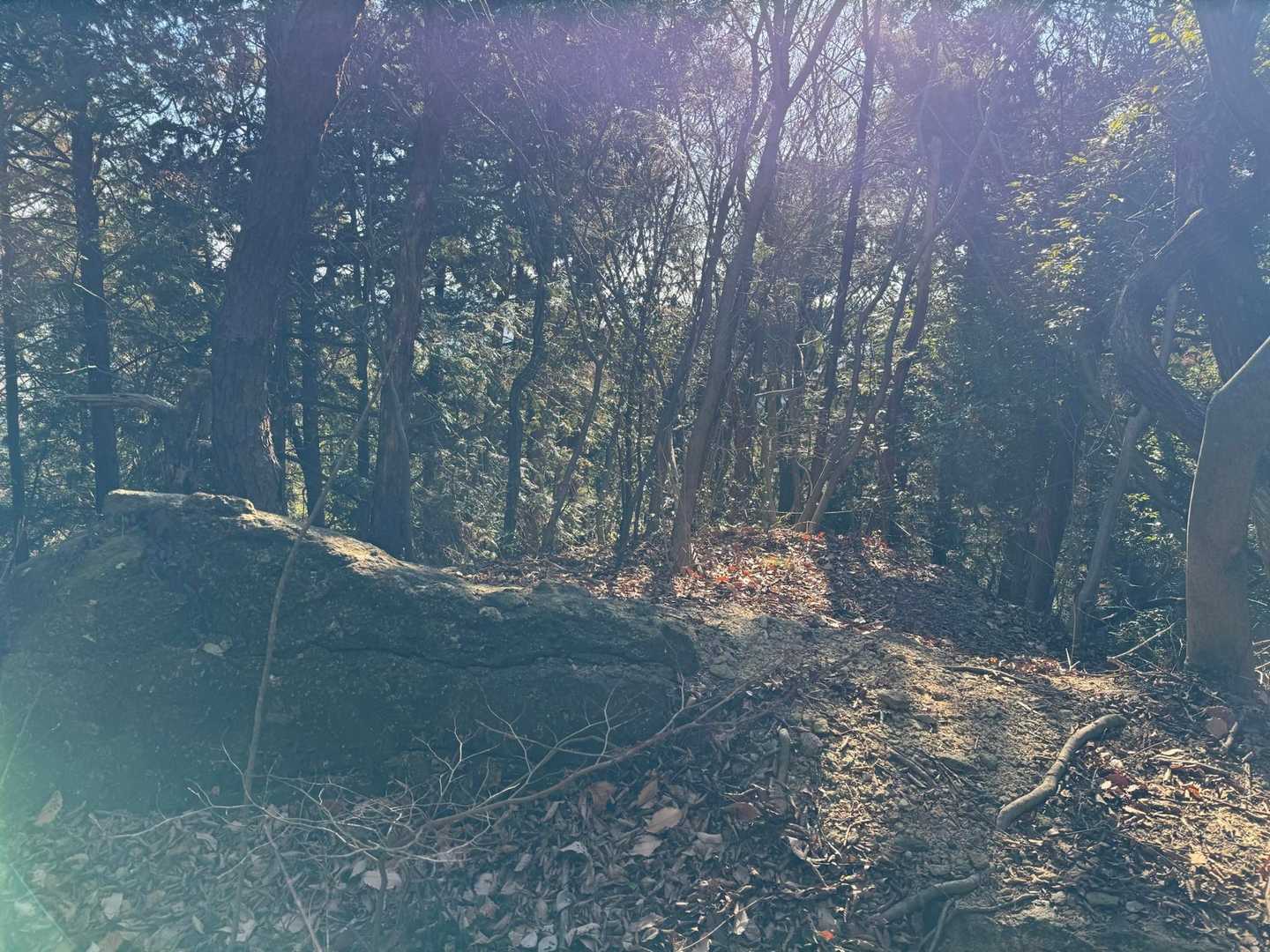 大岩の上です♪
岩から降りる時が怖かった😱